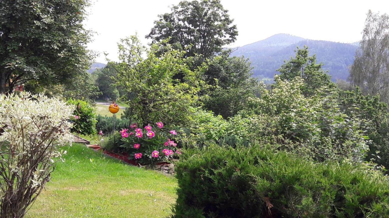 Ferienwohnung-Panoramablick-1 Bodenmais Kültér fotó